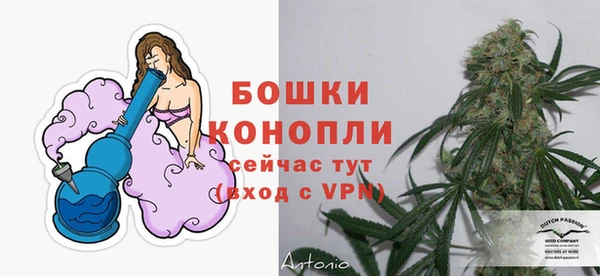 mix Белокуриха