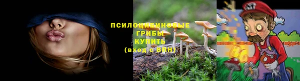 mix Белокуриха