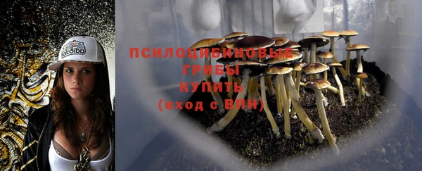 mix Белокуриха