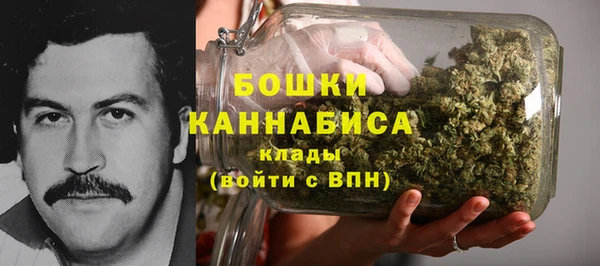 PSILOCYBIN Беломорск