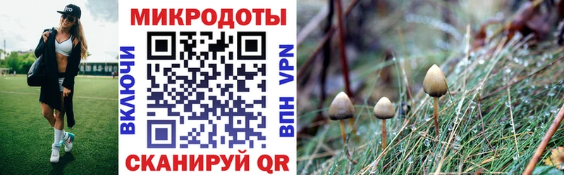 Псилоцибиновые грибы Magic Shrooms  купить  сайты  Пионерский 